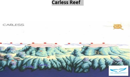 Carless Reef